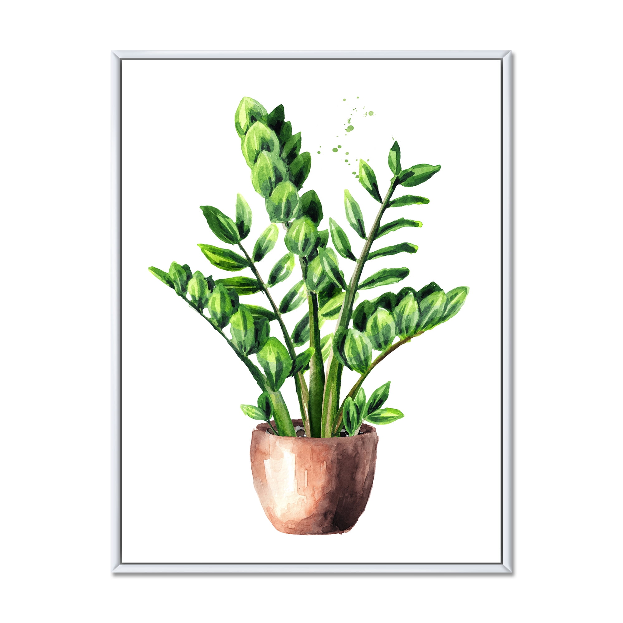 Zamioculcas Tropical Plant With Green Leaves On White 30 in x 40 in Framed Painting Canvas Art Print, by Designart