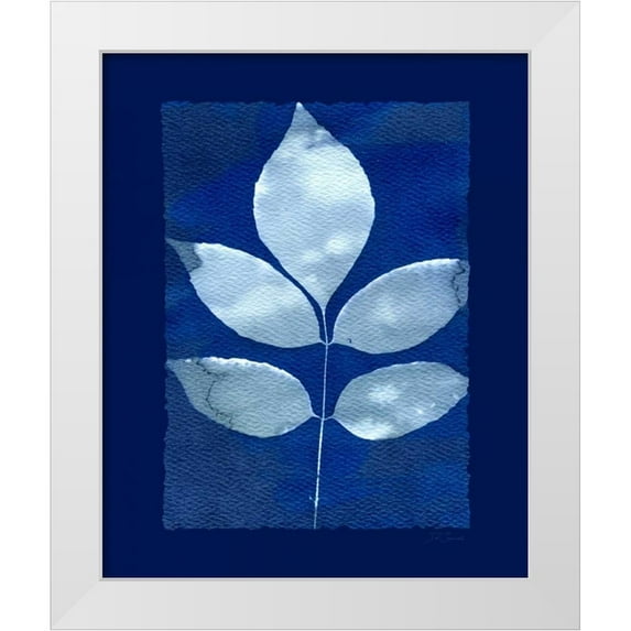 Zamudio, Dan 26x31 White Modern Wood Framed Museum Art Print Titled - Cyanotype Birch
