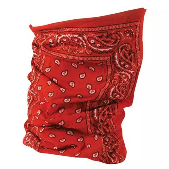 Zan Headgear Motley Neck Tube Red Paisley