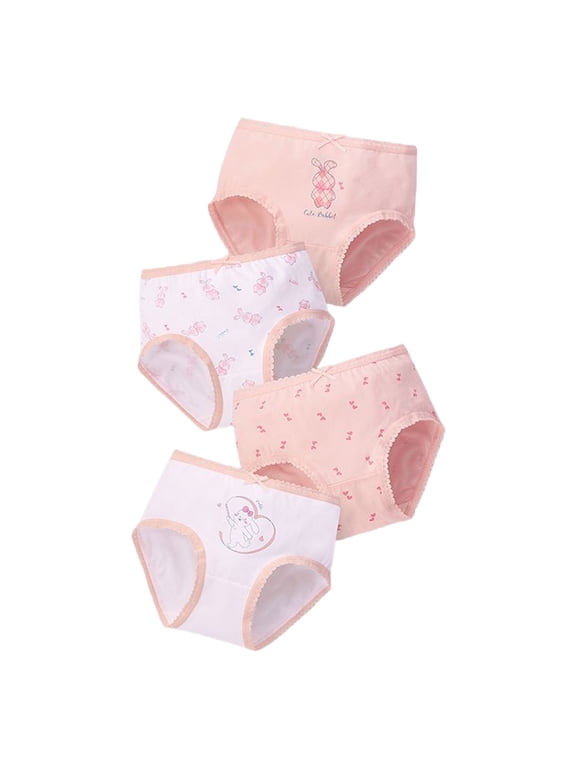 Girl Bloomers Potty Training Underwear 4 Pack Cotton Toddler Pee Pants for Baby Girls Back to School Clothes Pink,2-3 Years