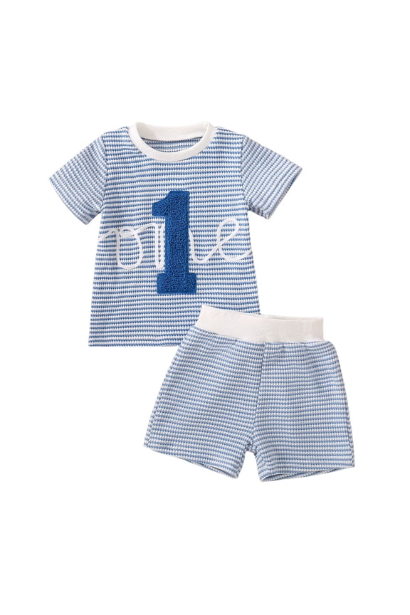 Toddler Boy Clothes My First Birthday Breathable Set Simple Short Sleeve Shorts Two Piece Set Blue,18-24 Months