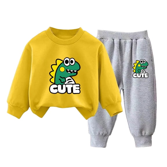 Zanarzt Toddler Clothes Boys Cute Dinosaur Print Long Sleeve Sweatshirt Pants Casual Two Piece Set R,2-3 Years