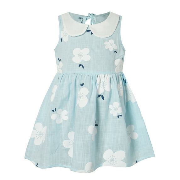 Zanarzt Toddler Kids Baby Girl Dress Summer Dress Toddler Girls Sleeveless Sundress Floral Prints Princess Dress Dance Party Dresses Light Blue,2-3 Years