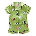 thumbnail image 1 of Zanarzt Kids Satin Pajamas Sets Toddler Pajamas Baby Girl Boy Summer Print Silk Pjs Sleepwear Nightwear Loungewear Pj Set Green,3-4 Years, 1 of 6