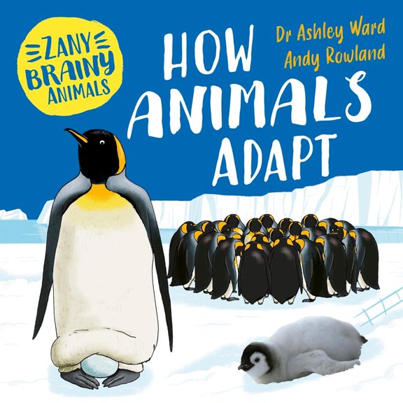 Ashley Ward Zany Brainy Animals: How Animals Adapt (Paperback) Zany Brainy Animals
