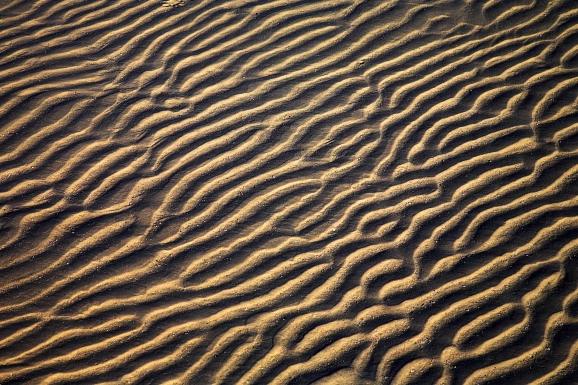 Zanzibar Tanzania Sand Patterns Canvas Art - Chris Upton Design Pics (36 x 24)
