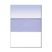 Zapco High-Security Check Paper, Blue w Complex Background Pattern, 8-1/2 x 11, Microperfed with 1-Up Check, 12 Security Features - PACK OF 250 SHEETS