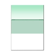 Zapco High-Security Check Paper, Green w Complex Background Pattern, 8-1/2 x 11, Microperfed with 1-Up Check, 12 Security Features - PACK OF 250 SHEETS