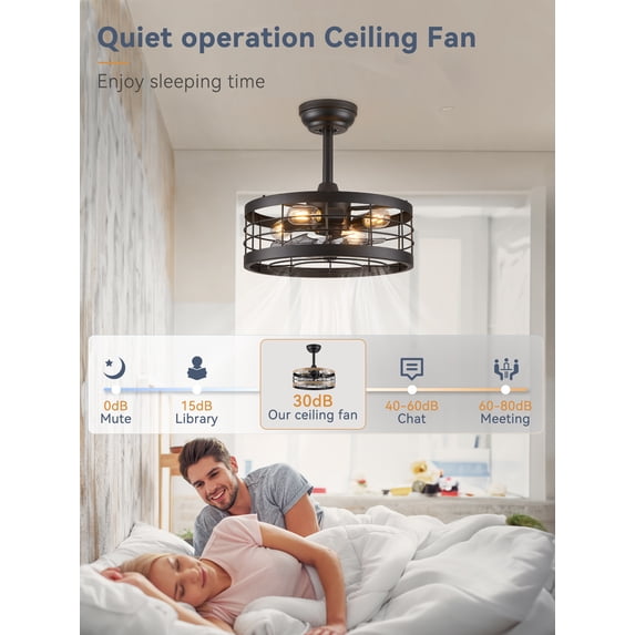 Zardon 16.5-Inch Black Antique Caged Indoor Ceiling Fan with LED Lights and Remote Control