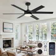 Zardon Ceiling Fans, 56in Ceiling Fans with Light and Remote Control, 6 Speeds Reversible, 6 Blades, for Indoor, Black