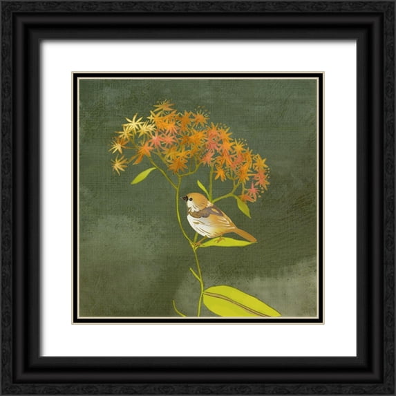 Zarris, Chariklia 12x12 Black Ornate Wood Framed with Double Matting Museum Art Print Titled - Birding Collection C