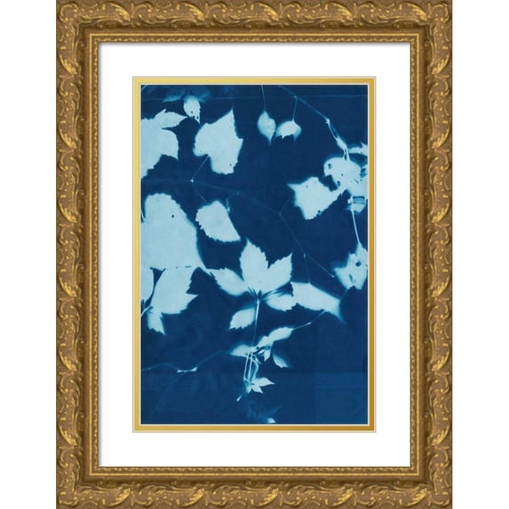 Zarris, Chariklia 13x18 Gold Ornate Wood Framed with Double Matting Museum Art Print Titled - Cyanotype No.12