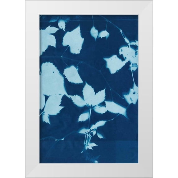 Zarris, Chariklia 13x18 White Modern Wood Framed Museum Art Print Titled - Cyanotype No.12