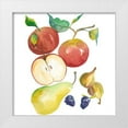 thumbnail image 1 of Zarris, Chariklia 15x15 White Modern Wood Framed Museum Art Print Titled - Harvest Medley II, 1 of 4
