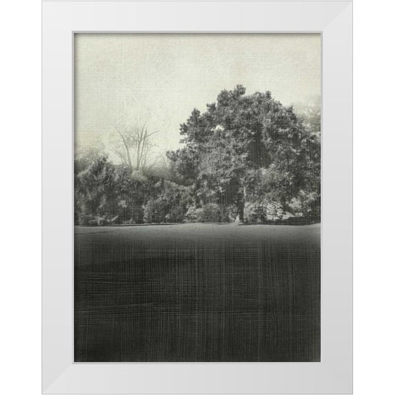 Zarris, Chariklia 19x24 White Modern Wood Framed Museum Art Print Titled - Morning View II