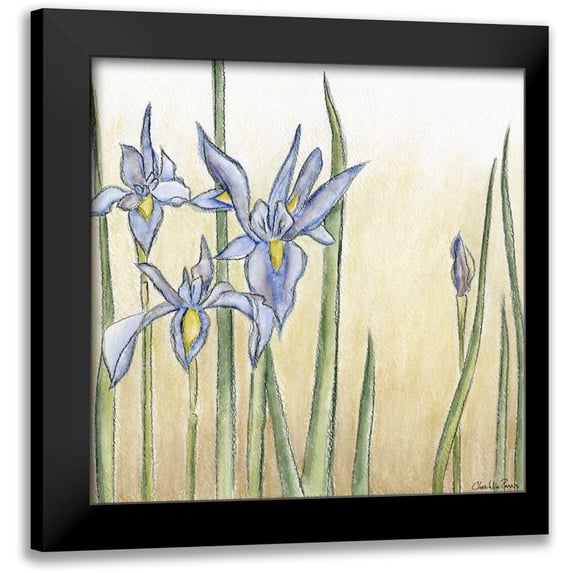 Zarris, Chariklia 20x20 Black Modern Framed Museum Art Print Titled - Sunset Garden III