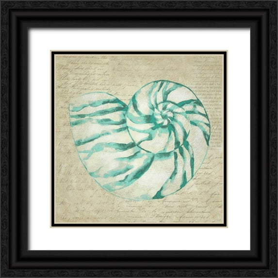 Zarris, Chariklia 20x20 Black Ornate Wood Framed with Double Matting Museum Art Print Titled - Seafoam Shell I