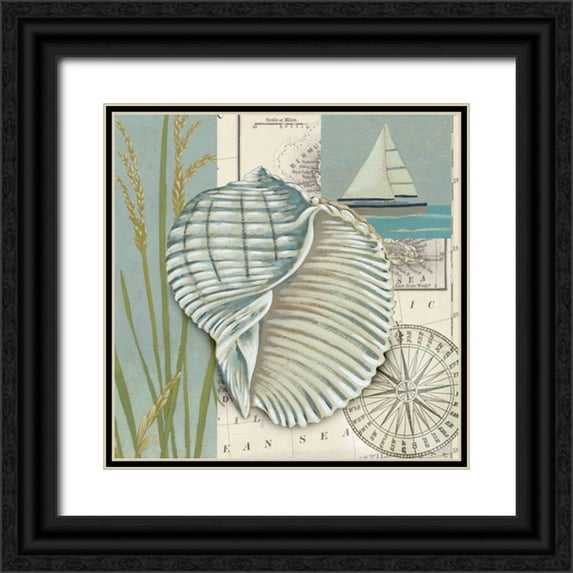 Zarris, Chariklia 20x20 Black Ornate Wood Framed with Double Matting Museum Art Print Titled - Seaside Shell I