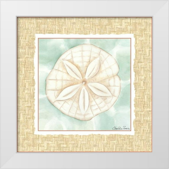 Zarris, Chariklia 20x20 White Modern Wood Framed Museum Art Print Titled - Ocean Sanddollar