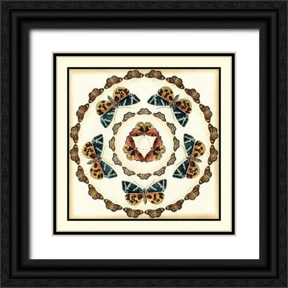 Zarris, Chariklia 26x26 Black Ornate Wood Framed with Double Matting Museum Art Print Titled - Butterfly Collector III