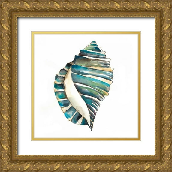 Zarris, Chariklia 26x26 Gold Ornate Wood Framed with Double Matting Museum Art Print Titled - Aquarelle Shells I