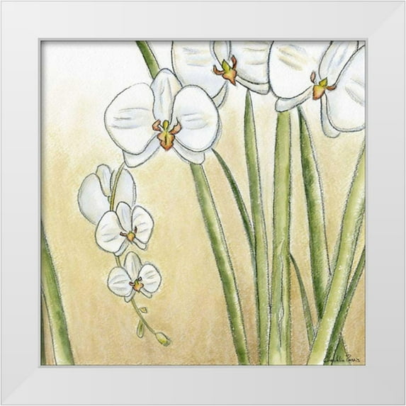 Zarris, Chariklia 26x26 White Modern Wood Framed Museum Art Print Titled - Sunset Garden II