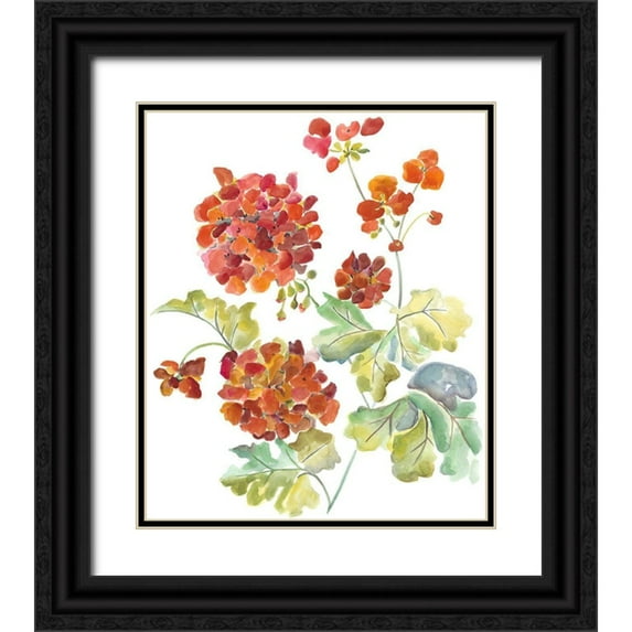 Zarris, Chariklia 26x30 Black Ornate Wood Framed with Double Matting Museum Art Print Titled - Cranesbills II