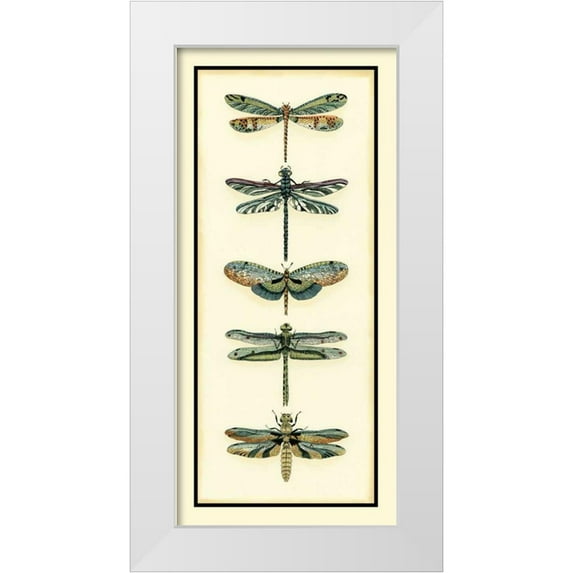 Zarris, Chariklia 9x14 White Modern Wood Framed Museum Art Print Titled - Dragonfly Collector II