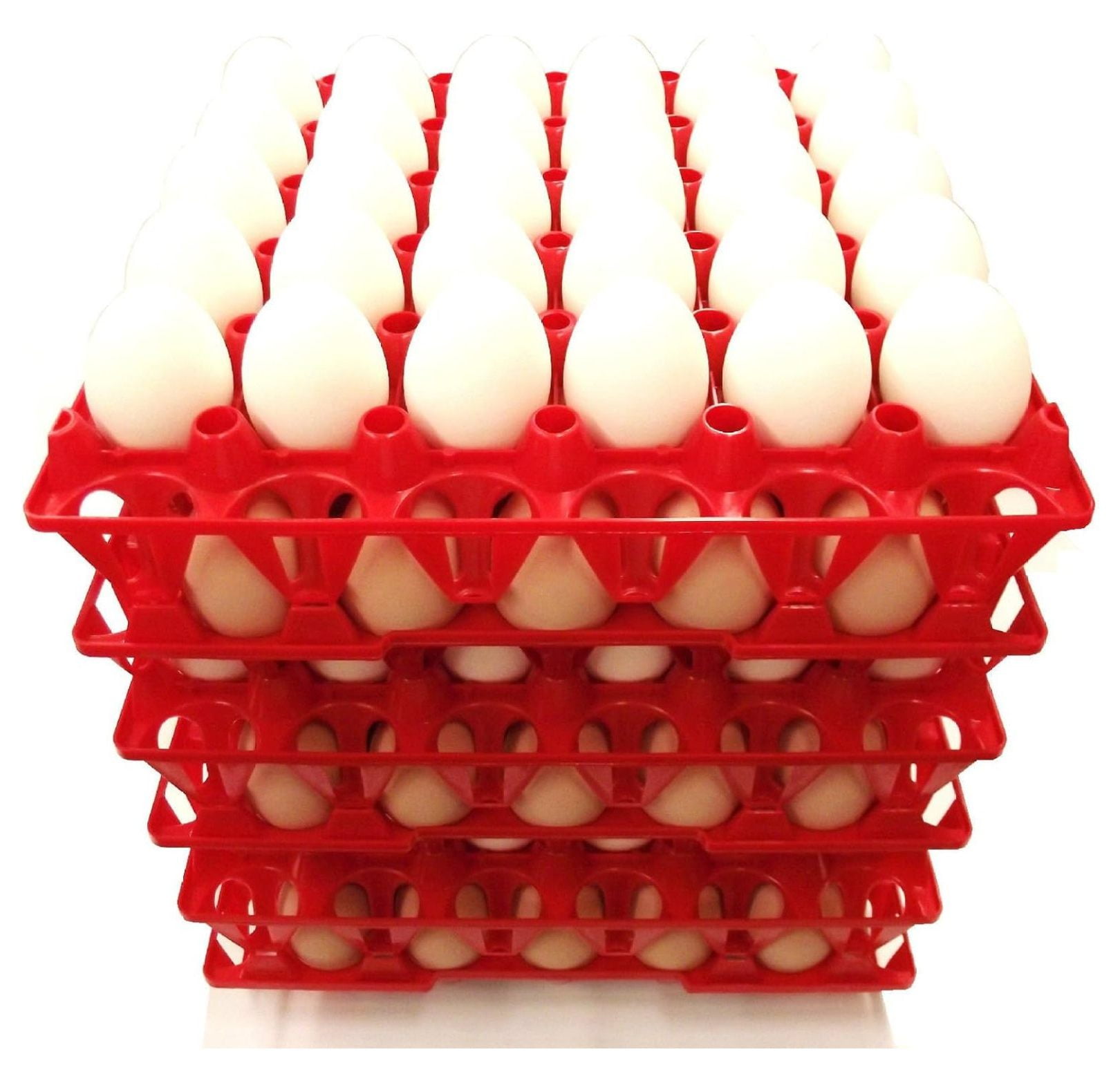 Zazesaby 24 30 Egg Chicken Trays Shipping Carton Poultry Flat