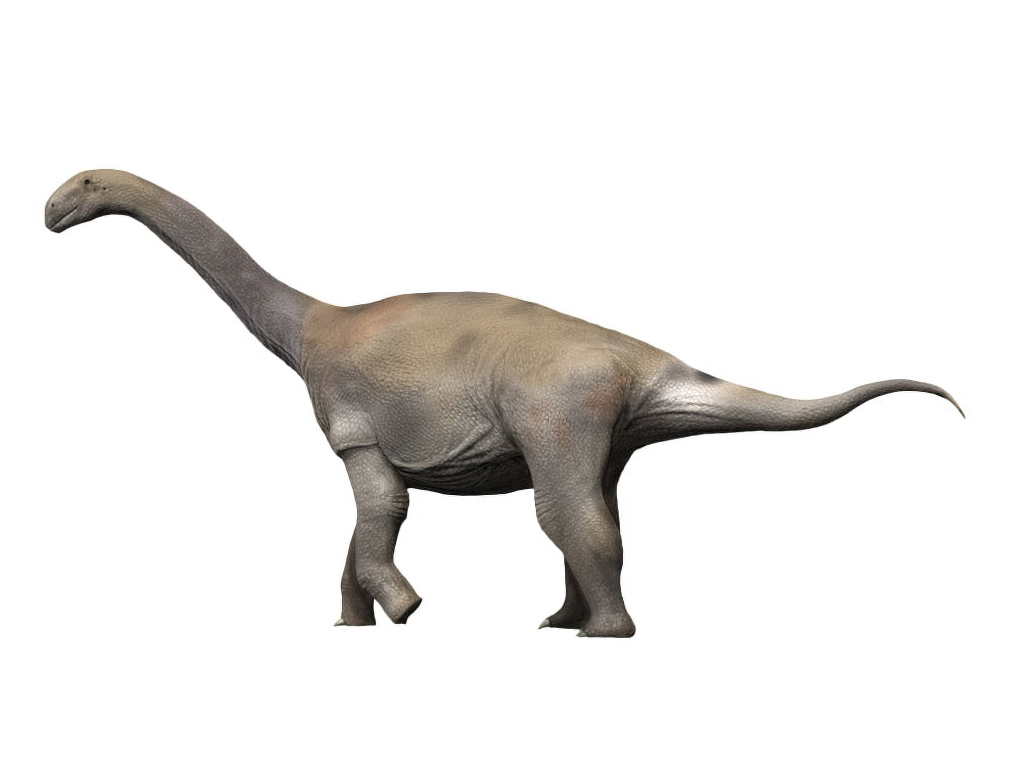 Zby atlanticus is a sauropod dinosaur from the Late Jurassic period Canvas Art - Nobumichi TamuraStocktrek Images (33 x 25)