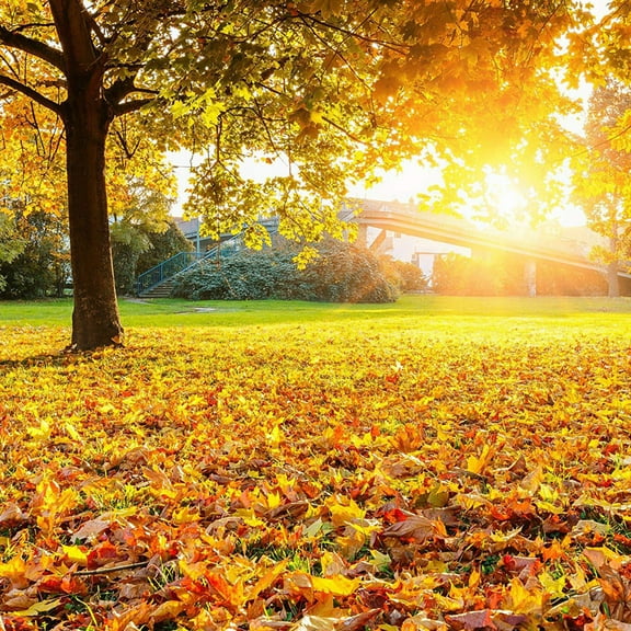 Zcyifa Artificial Maple Leaves 600pcs Simulated Maple Leaves Maple Leaves Autumn Fall Leaves DIY Crafts Making Leaves