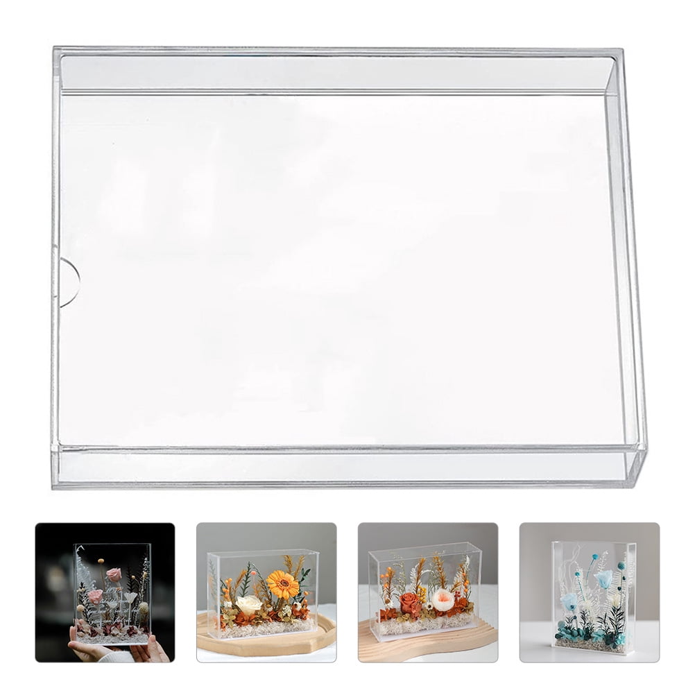 Zcyifa photo display case Transparent Dried Flowers Display Case DIY ...