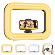 Zeadio 2-in-1 Ring Video Light & Phone Stabilizer, Smartphone Handheld Grip with powerful 20W LED Light, adjustable Color 2500K-8500K, for Filmmaking Live Steam YouTube Video Recording etc