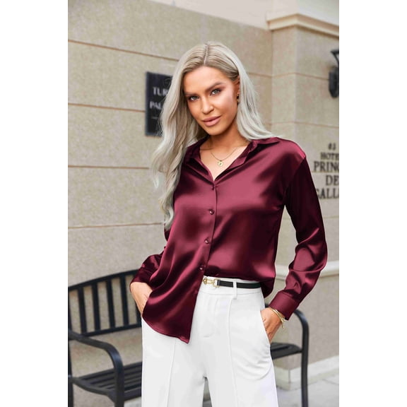 Zeagoo Silk Tops for Women Satin Long Sleeve V Neck Casual Office Work Blouse Tunic Tops