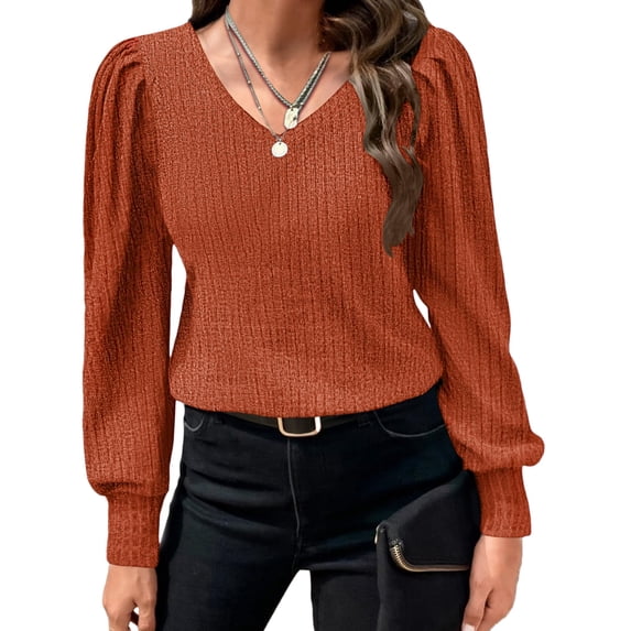 Zeagoo Women's Elegant Tops Lightweight V Neck Puff Long Sleeves Tunic Tops