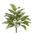 thumbnail image 1 of Zebra Bush Classic Greenery by Ashland, 1 of 1