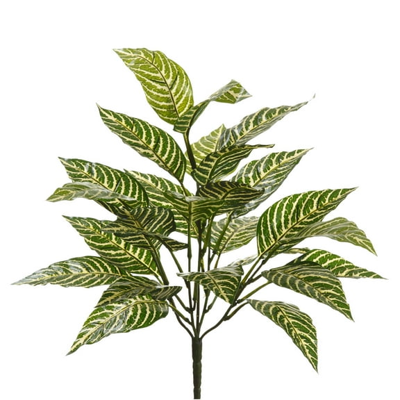 Zebra Bush Classic Greenery by Ashland