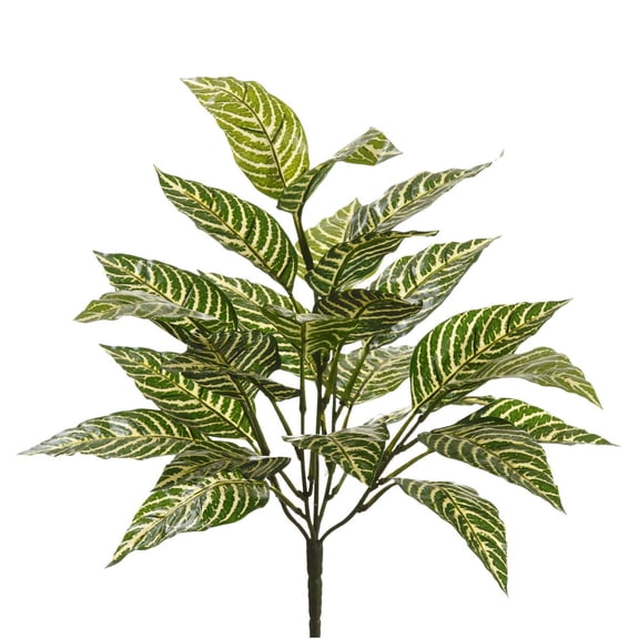 Zebra Bush Classic Greenery by Ashland