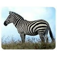 thumbnail image 1 of Zebra Coasters, 1 of 1