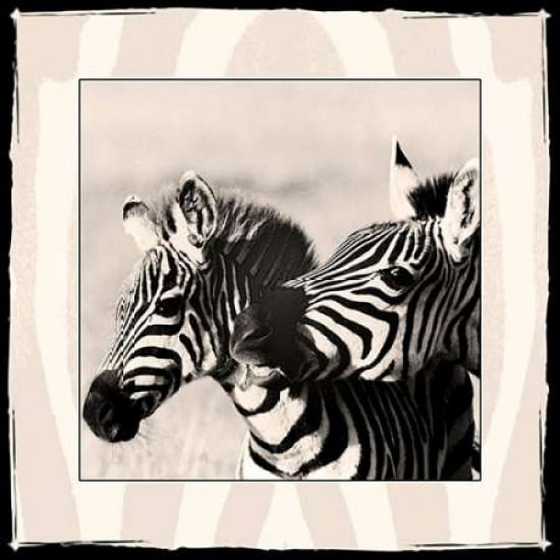 Zebra Enchantment 2 Canvas Art - Frank & Susann Parker Nature Photography (24 x 24)