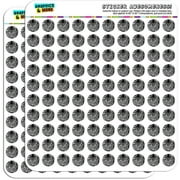 Zebra Face Safari Print Stripes 200 1/2" (0.5") Planner Calendar Scrapbooking Crafting Stickers