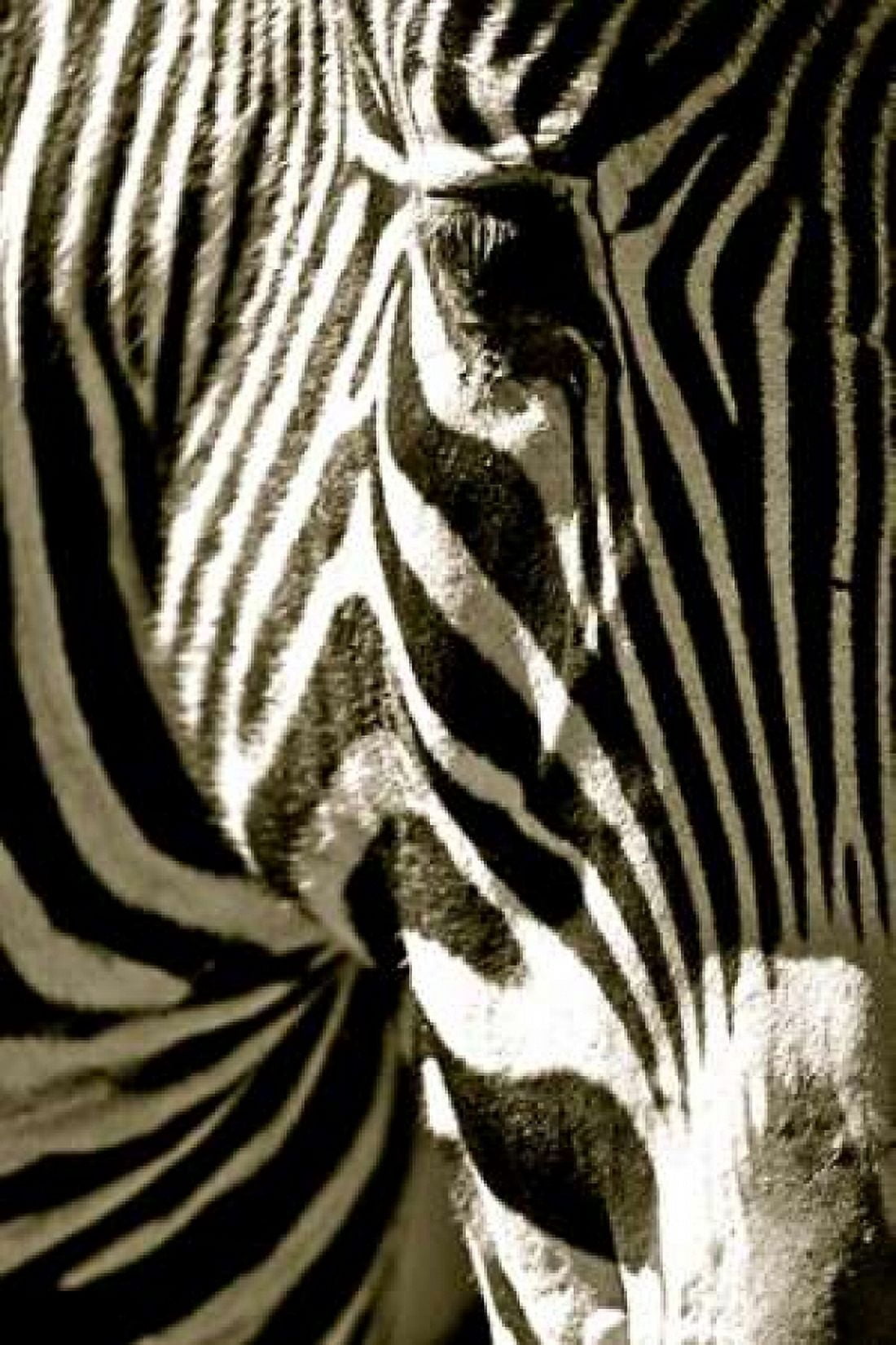 Zebra Head Canvas Art - Courtney Lawhorn (12 x 18)