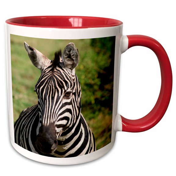 3drose, Zebra Head Shot, Tanzania, 11oz Two-tone Red Mug