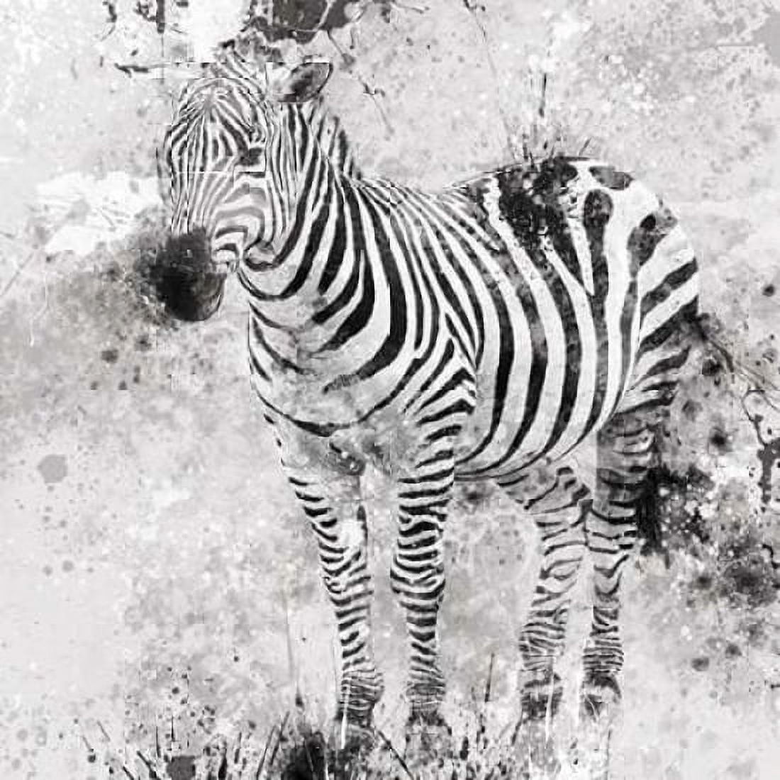 Zebra I Canvas Art - Carol Robinson (24 x 24)