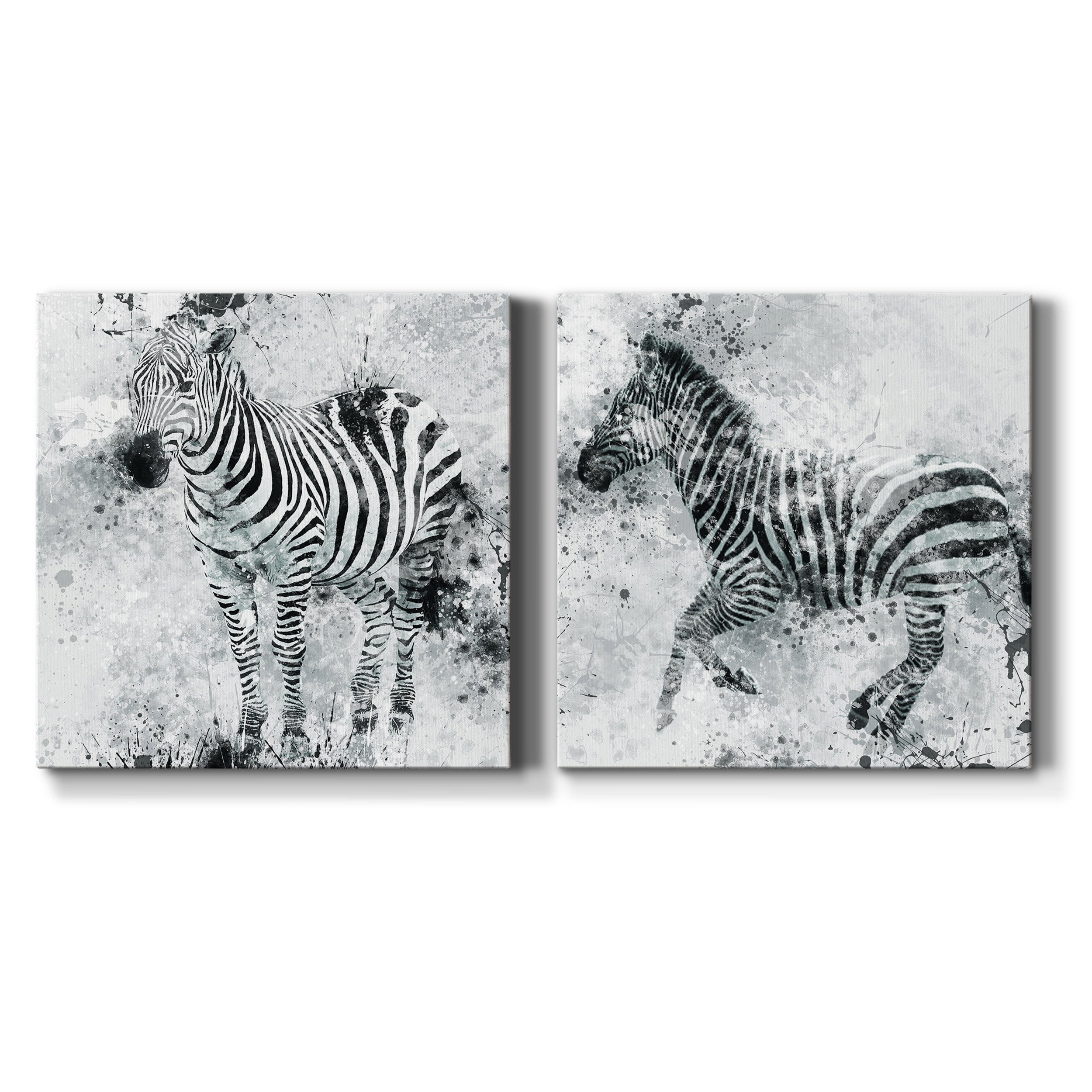 Zebra I - Premium Gallery Wrapped Canvas - Ready to Hang Set of 2 - 32 x 32 Each