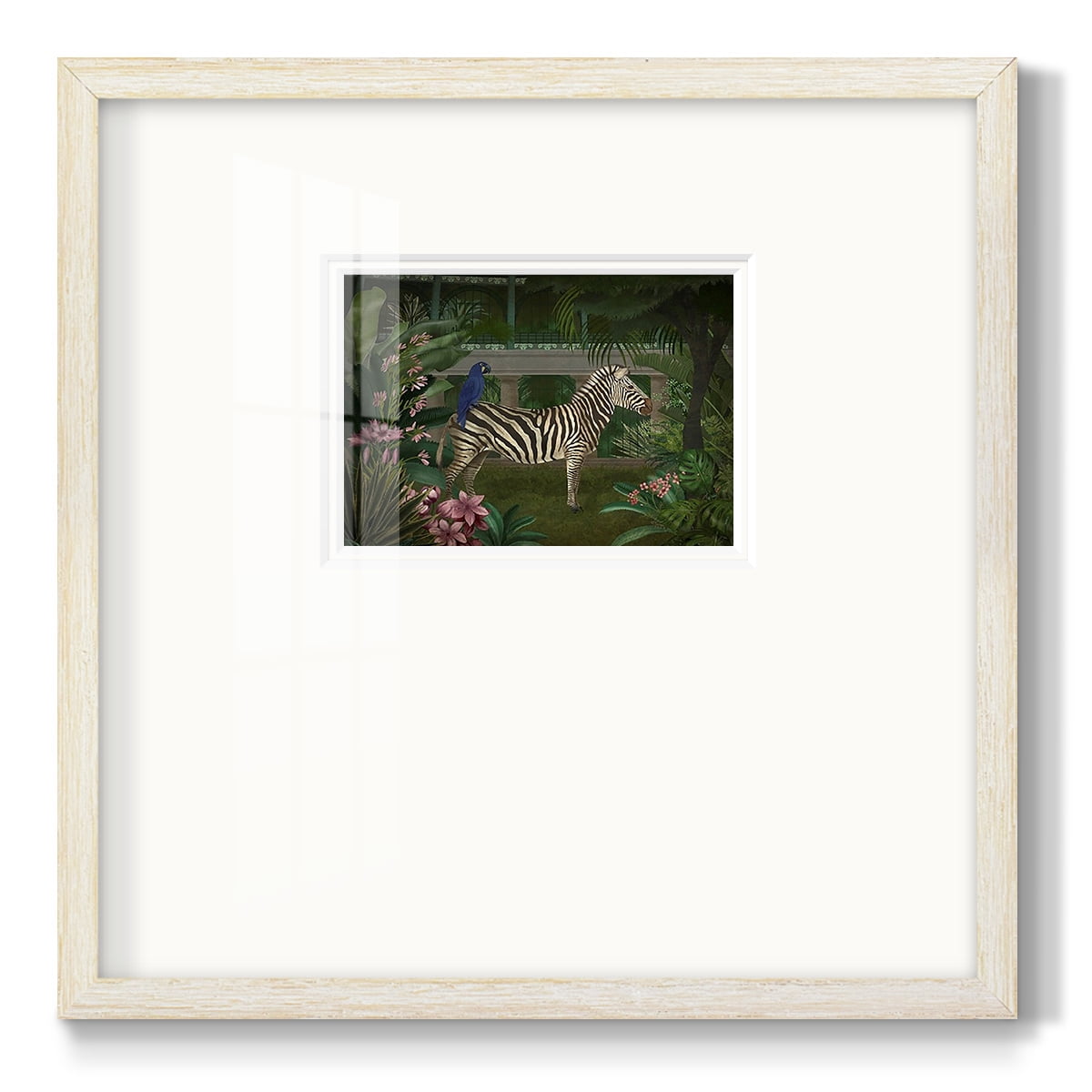 Zebra In ConservatoryPremium Framed Print