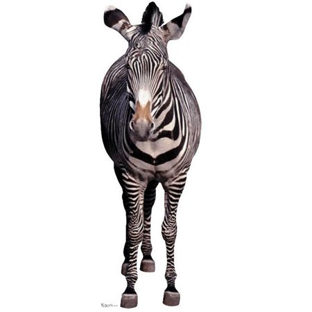 Zebra Life-Size Cardboard Stand-Up