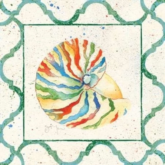 Zebra Nautilus Poster Print by Tava Studios