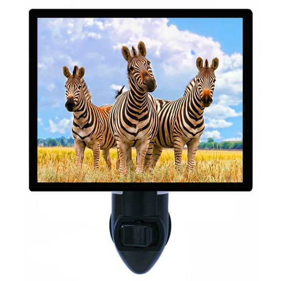 Night Light - Curiosity Times Three. | Zebra Theme, Includes Free Switchable Insert, 4W Bulb, E12 Base
