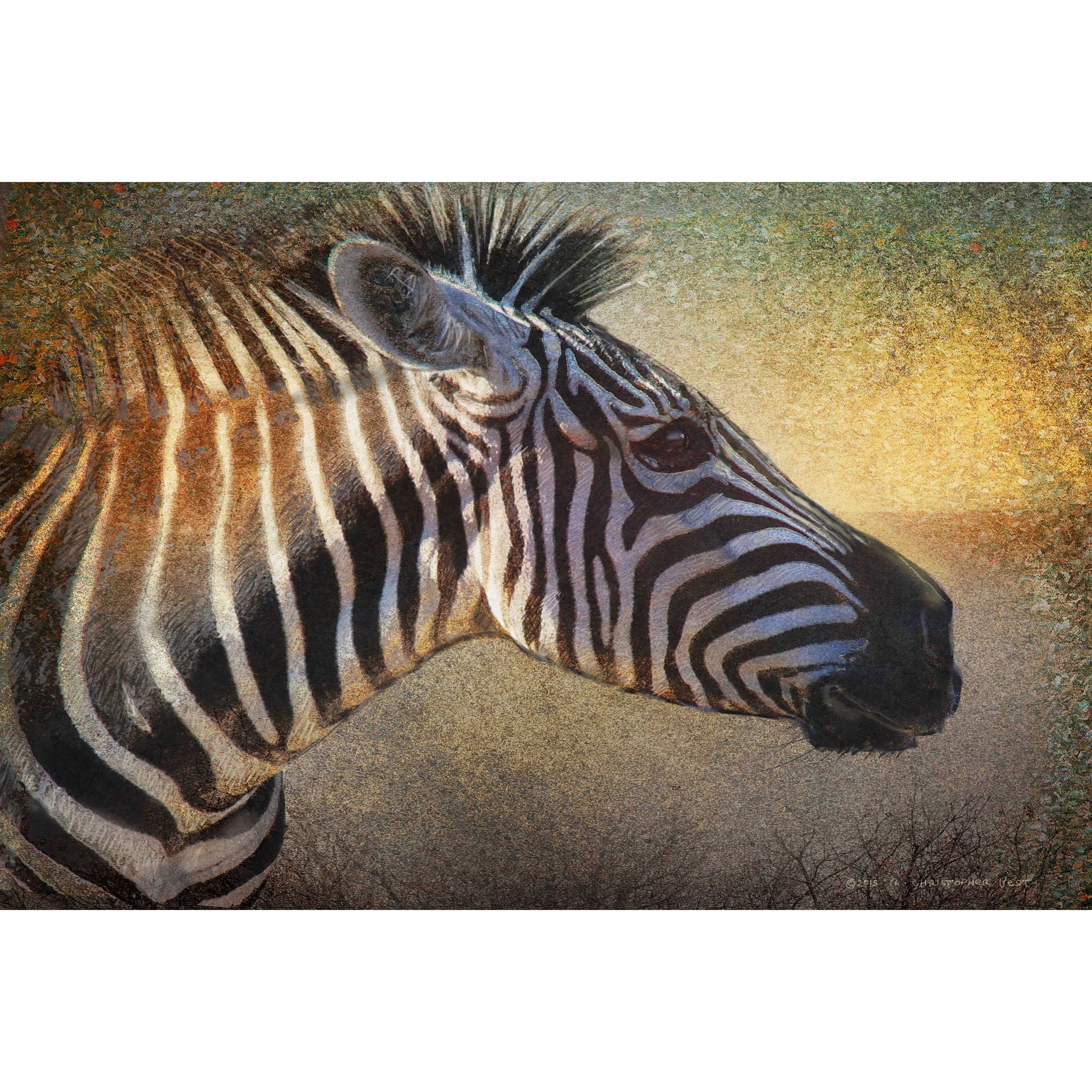 "Zebra Portrait" Painting Print on Wrapped Canvas